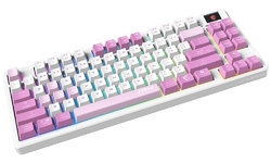 MSI FORGE GK600 TKL WIRELESS Violet