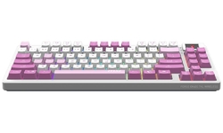 MSI FORGE GK600 TKL WIRELESS Violet