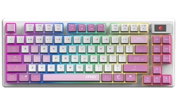 MSI FORGE GK600 TKL WIRELESS Violet