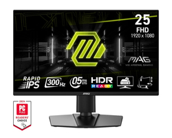 MSI MAG 255PXF