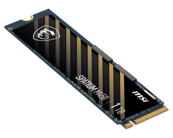 MSI SPATIUM M450 1TB