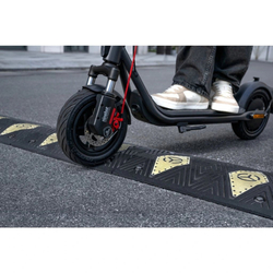 Ninebot KickScooter F2 EII