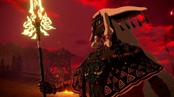 NS2 Hyrule Warriors: Age of Imprisonment