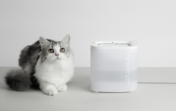 PetKit Eversweet SOLO SE Fontána pro psy a kočky (bílá)