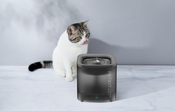 PetKit Eversweet SOLO SE Fontána pro psy a kočky (tmavě šedá)