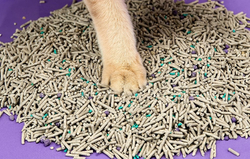 Petkit Smíšené stelivo pro kočky 7 l