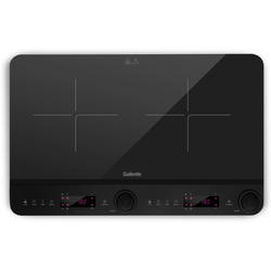 Salente InductPro2