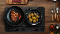 Salente InductPro2