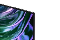 SAMSUNG QE48S90D EU (2024)