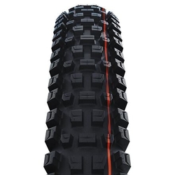 Schwalbe plášť Albert 29x2.50 GRAVITY PRO TLR AddixSoft radial skládací