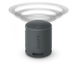 Sony Sony SRS-XB100, černá