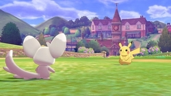 Switch - Pokémon Shield