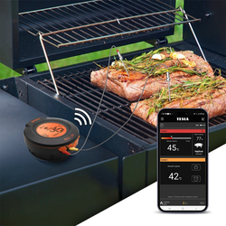 TESLA Cook BBQ150 - Smart teplotní sonda