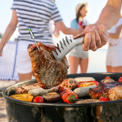 TESLA Cook BBQ150 - Smart teplotní sonda