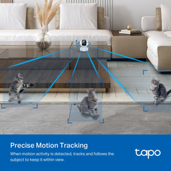 TP-Link Tapo C232