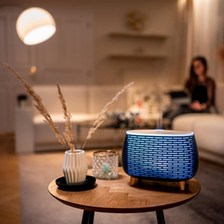 TrueLife AIR Diffuser D6 Smart