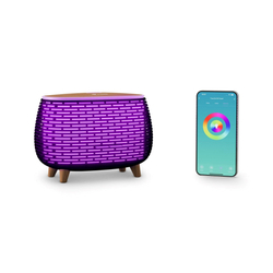TrueLife AIR Diffuser D6 Smart