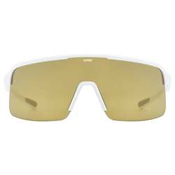 UVEX BRÝLE DYRT WHITE MATT/MIR.GOLD (S5330958816)