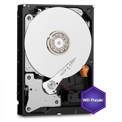 WD Purple 1TB