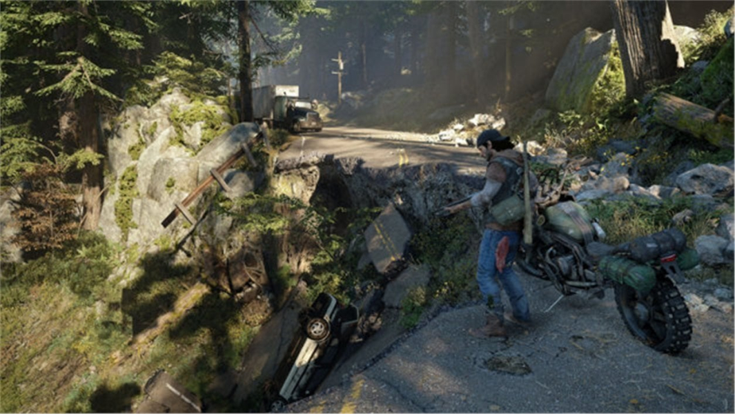 Days Gone (PS4)