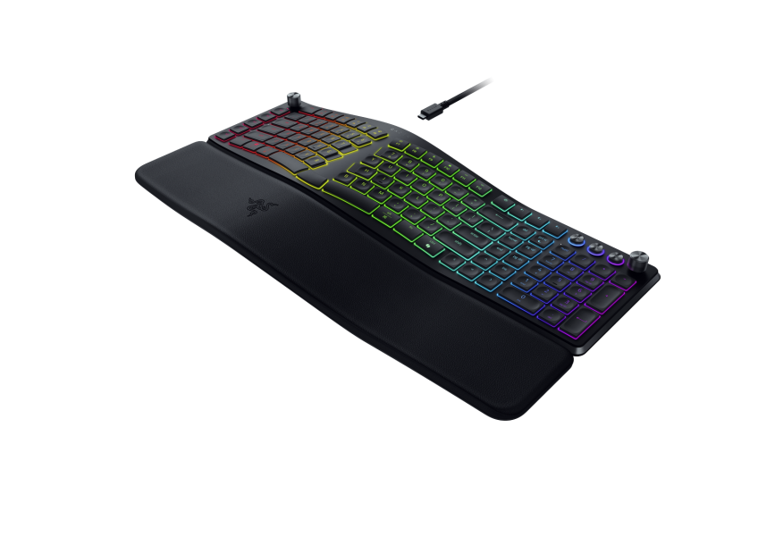 Razer Pro Type Ergo US