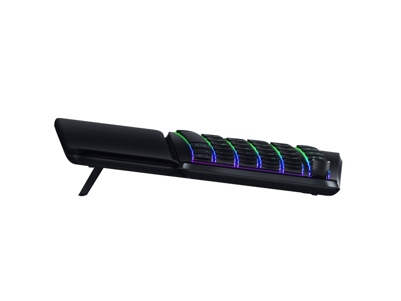 Razer Pro Type Ergo US